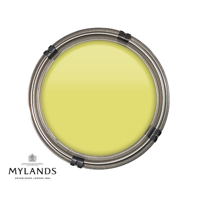 Luxury pot of Mylands Verdue Yellow paint