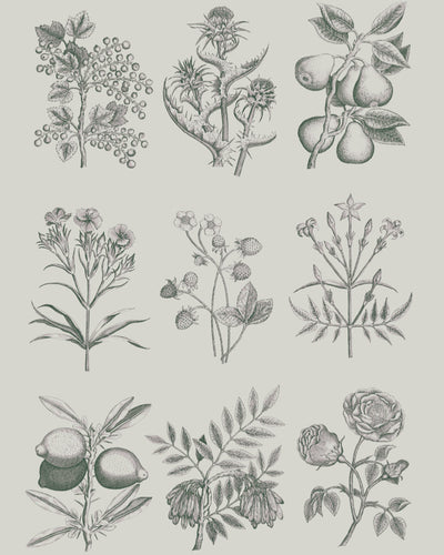 Image showing RHS luxury stencils