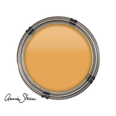 Luxury pot of Annie Sloan Aries paint