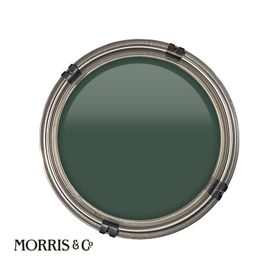 Luxury pot of Morris & Co Tumb paint