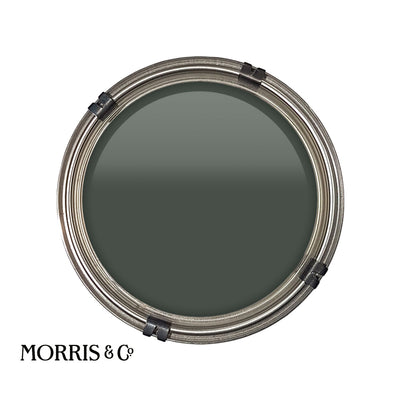 Luxury pot of Morris & Co Wooded Dell paint