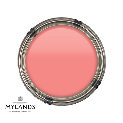 Luxury pot of Mylands FTT 005 paint