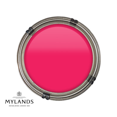 Luxury pot of Mylands FTT 006 paint