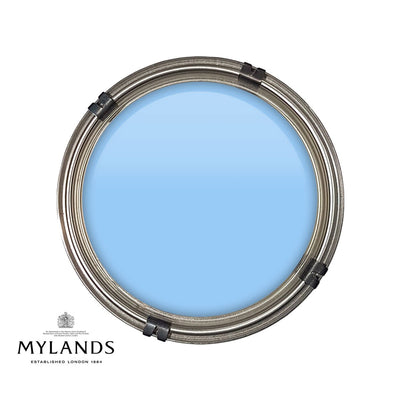 Luxury pot of Mylands FTT 016 paint