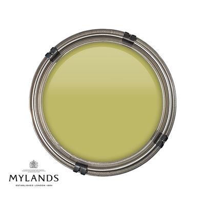 Luxury pot of Mylands New Lime paint