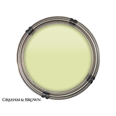 Luxury pot of Graham & Brown Crockery paint