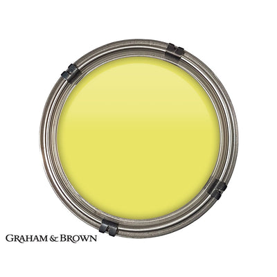 Luxury pot of Graham & Brown Fineapple paint