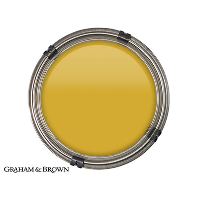 Luxury pot of Graham & Brown Lioness paint