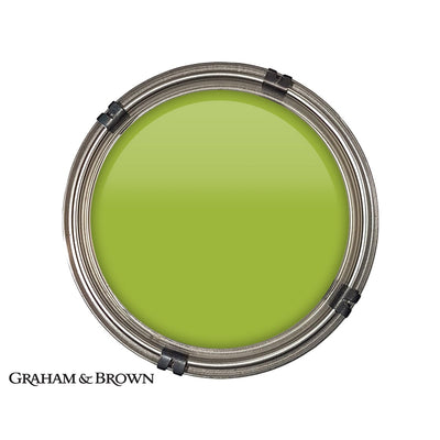 Luxury pot of Graham & Brown Vivo paint